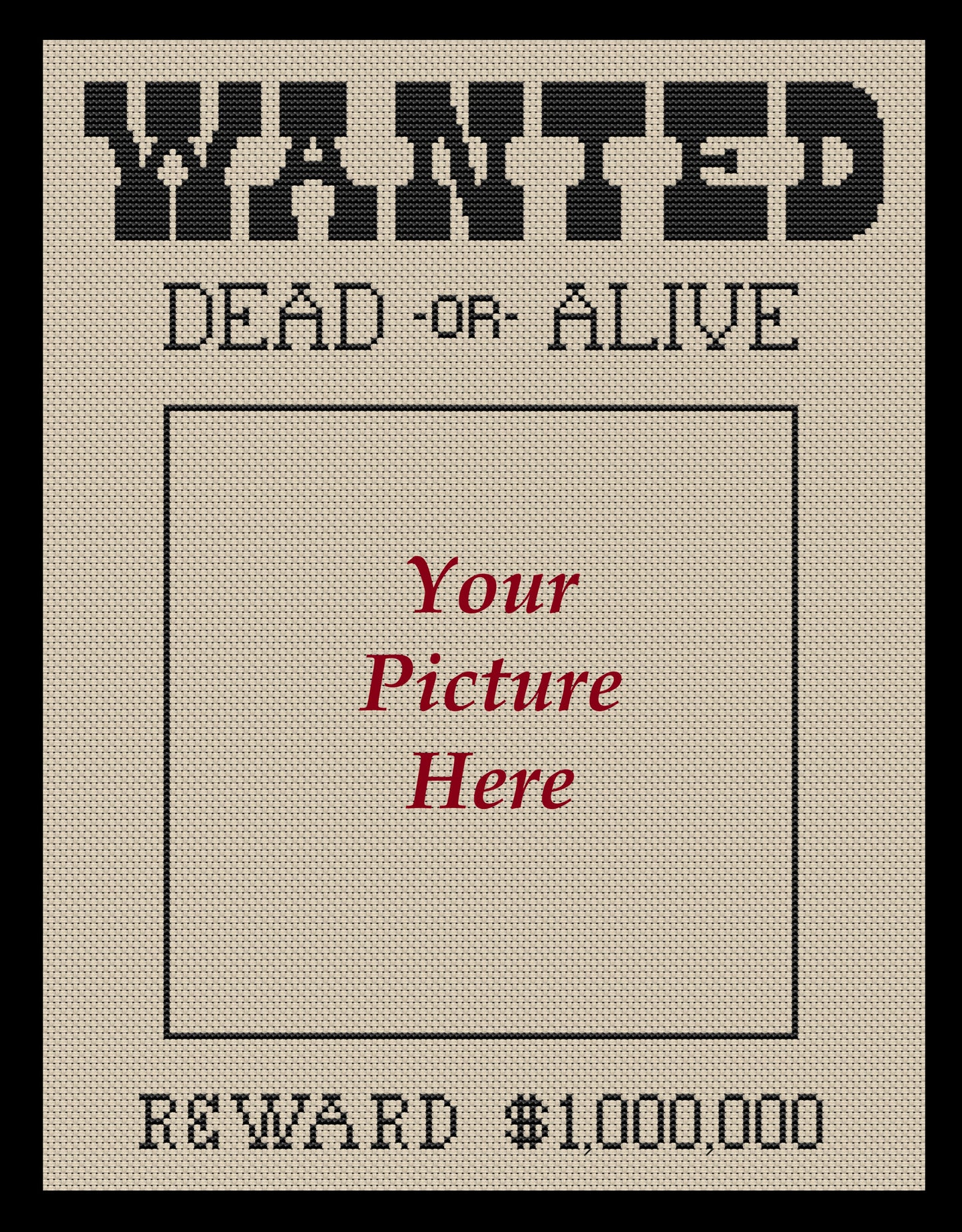 Wanted Poster Cross-stitch, DIY Kit