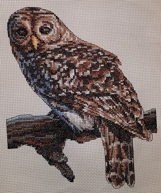 Owl Cross-stitch, Ready To Ship