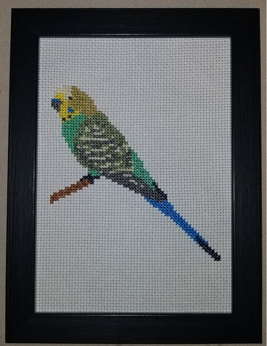 Parakeet Cross-stitch, Made-to-Order